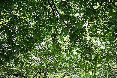 M站《宇宙机器人》用户评分9.5 今年最好游戏成绩